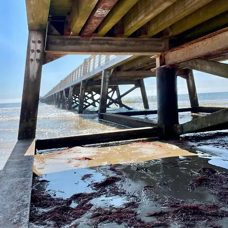 La Maison De La Pinede, 4 Holiday home *