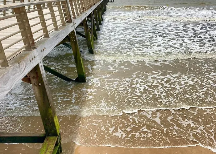 La Maison De La Pinede, 4 Prázdninový dům